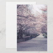 Cherry Blossoms (Front/Back)