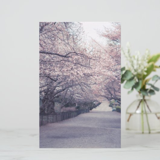 Cherry Blossoms (Standing Front)