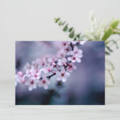 Cherry Blossoms (Standing Front)