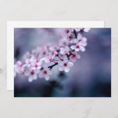 Cherry Blossoms (Front/Back)