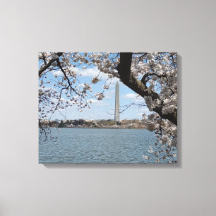 CHERRY BLOSSOMS #1 ON CANVAS 20 "x 16" Print