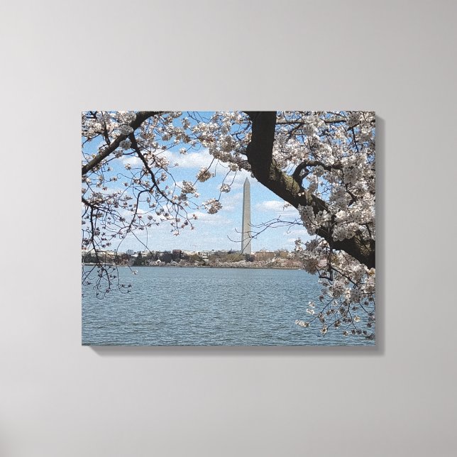 CHERRY BLOSSOMS #1 ON CANVAS     20 "x 16" Print (Front)