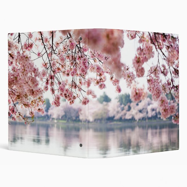 Cherry Blossoms 3 Ring Binder (Background)