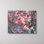 Cherry Blossoms and Bee Pink Spring Flowers Canvas Print