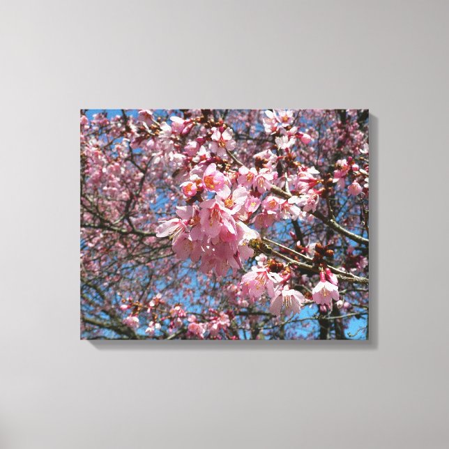 Cherry Blossoms and Bee Pink Spring Flowers Canvas Print (Front)