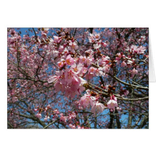 Cherry Blossoms and Bee Pink Spring Flowers Cards