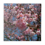 Cherry Blossoms and Bee Pink Spring Flowers Ceramic Tile