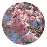Cherry Blossoms and Bee Pink Spring Flowers Classic Round Sticker