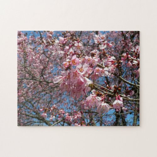 Cherry Blossoms and Bee Pink Spring Flowers Jigsaw Puzzle