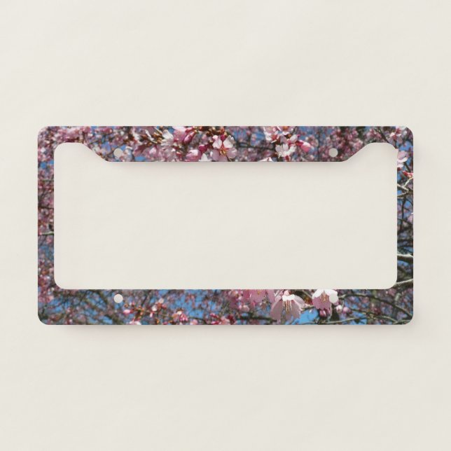 Cherry Blossoms and Bee Pink Spring Flowers License Plate Frame (Front)
