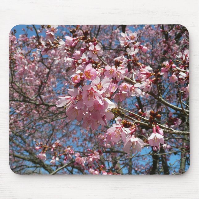 Cherry Blossoms and Bee Pink Spring Flowers Mouse Pad (Front)