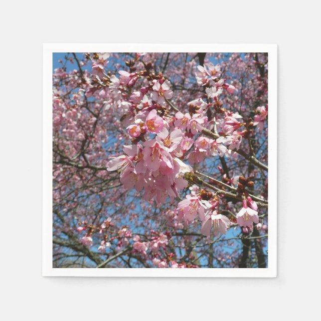 Cherry Blossoms and Bee Pink Spring Flowers Napkins (Front)