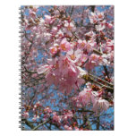 Cherry Blossoms and Bee Pink Spring Flowers Notebook