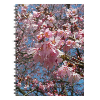 Cherry Blossoms and Bee Pink Spring Flowers Notebook