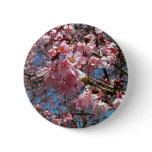 Cherry Blossoms and Bee Pink Spring Flowers Pinback Button