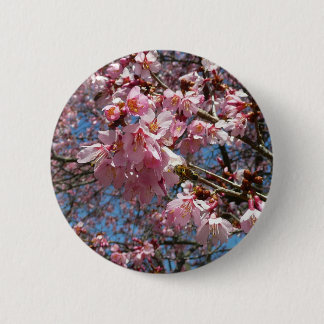 Cherry Blossoms and Bee Pink Spring Flowers Pinback Button