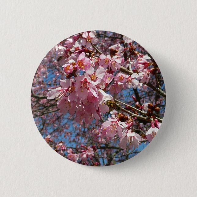 Cherry Blossoms and Bee Pink Spring Flowers Pinback Button (Front)