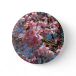 Cherry Blossoms and Bee Pink Spring Flowers Pinback Button