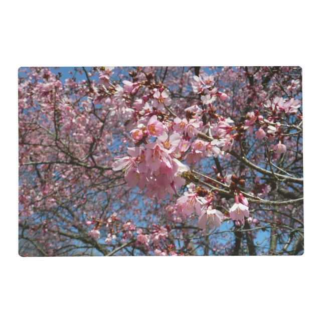 Cherry Blossoms and Bee Pink Spring Flowers Placemat (Front)