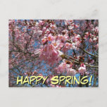 Cherry Blossoms and Bee Pink Spring Flowers Postcard