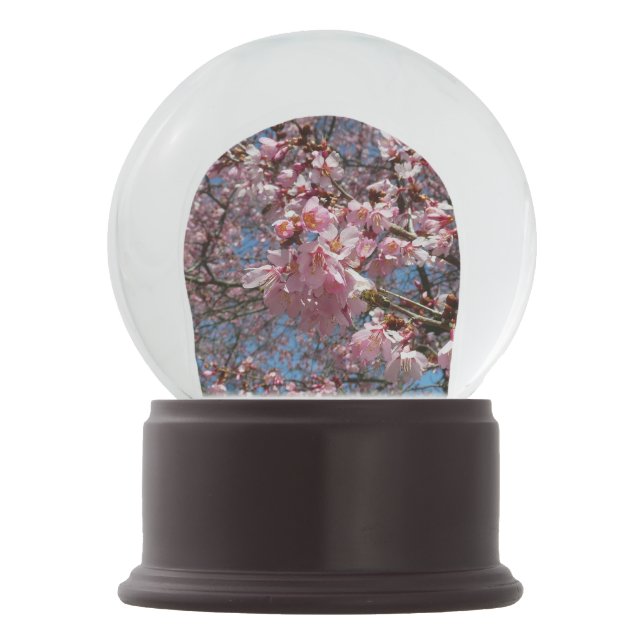 Cherry Blossoms and Bee Pink Spring Flowers Snow Globe (Front)