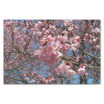 Cherry Blossoms and Bee Pink Spring Flowers Tissue Paper