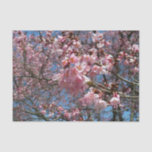 Cherry Blossoms and Bee Pink Spring Flowers Tissue Paper