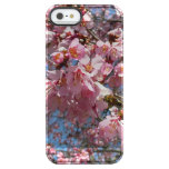 Cherry Blossoms and Bee Pink Spring Flowers Clear iPhone SE/5/5s Case