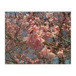 Cherry Blossoms and Bee Pink Spring Flowers Wood Wall Art