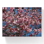 Cherry Blossoms and Blue Sky Paperweight