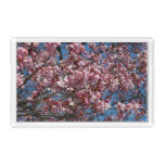 Cherry Blossoms and Blue Sky Spring Floral Acrylic Tray