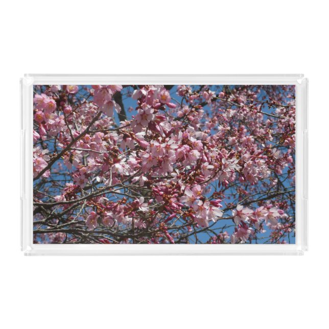 Cherry Blossoms and Blue Sky Spring Floral Acrylic Tray (Front)