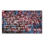 Cherry Blossoms and Blue Sky Spring Floral Business Card Magnet