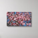 Cherry Blossoms and Blue Sky Spring Floral Canvas Print