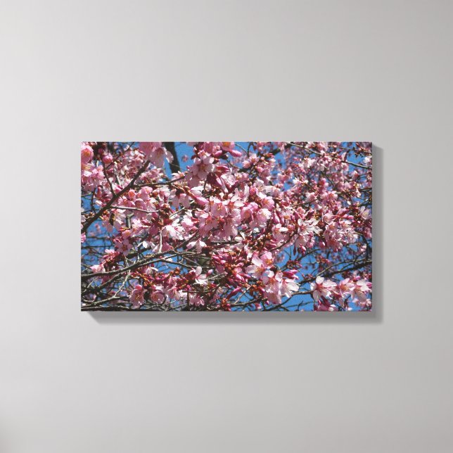 Cherry Blossoms and Blue Sky Spring Floral Canvas Print (Front)