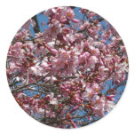 Cherry Blossoms and Blue Sky Spring Floral Classic Round Sticker