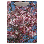 Cherry Blossoms and Blue Sky Spring Floral Clipboard
