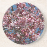 Cherry Blossoms and Blue Sky Spring Floral Coaster