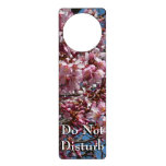 Cherry Blossoms and Blue Sky Spring Floral Door Hanger