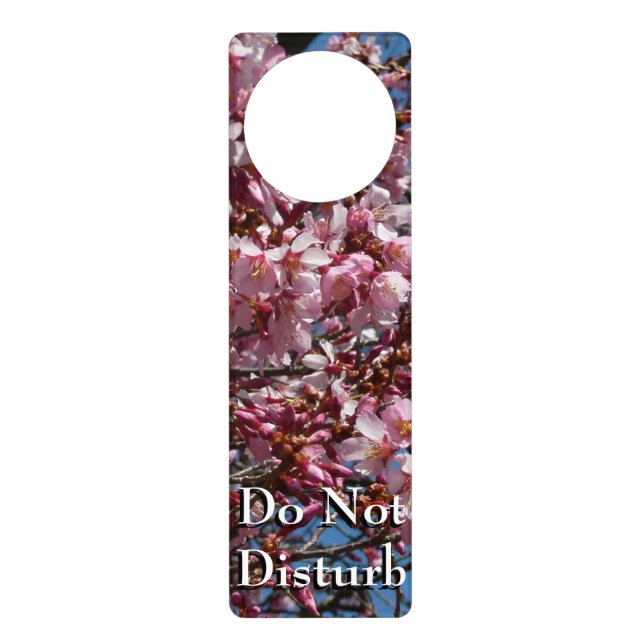 Cherry Blossoms and Blue Sky Spring Floral Door Hanger (Front)