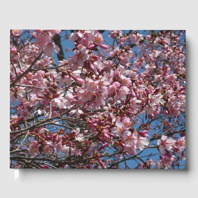 Cherry Blossoms and Blue Sky Spring Floral Guest Book (Front)