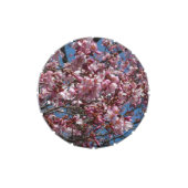 Cherry Blossoms and Blue Sky Spring Floral Jelly Belly Candy Tin (Top)