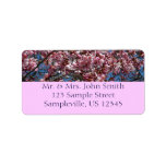 Cherry Blossoms and Blue Sky Spring Floral Label