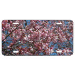 Cherry Blossoms and Blue Sky Spring Floral License Plate