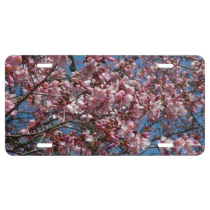 Cherry Blossoms and Blue Sky Spring Floral License Plate