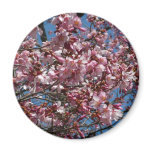 Cherry Blossoms and Blue Sky Spring Floral Magnet