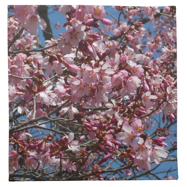 Cherry Blossoms and Blue Sky Spring Floral Napkin (Front)