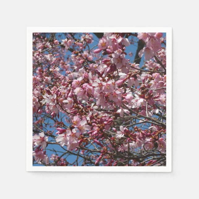 Cherry Blossoms and Blue Sky Spring Floral Napkins (Front)