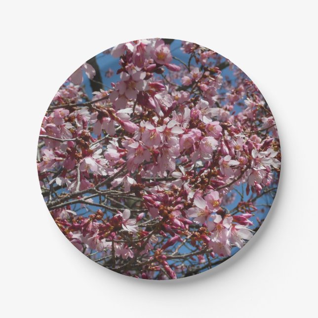 Cherry Blossoms and Blue Sky Spring Floral Paper Plates (Front)