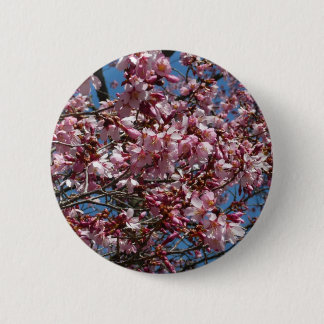 Cherry Blossoms and Blue Sky Spring Floral Pinback Button